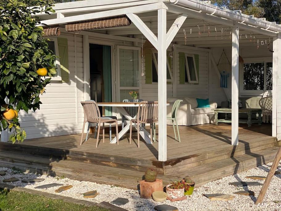 Soul Casas